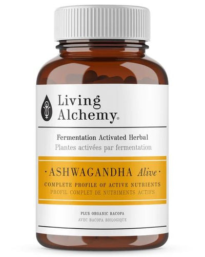 Living Alchemy
