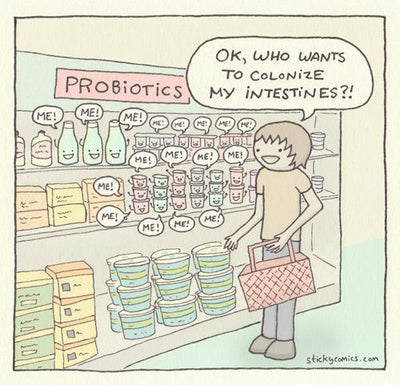 Probiotics—Your friends with benefits explained
