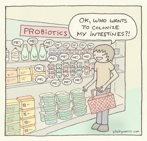 Probiotics—Your friends with benefits explained