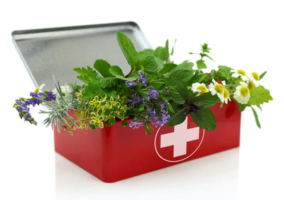 How to Make A Herbal First Aid Kit
