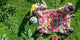 The Link Between Nature and Health
