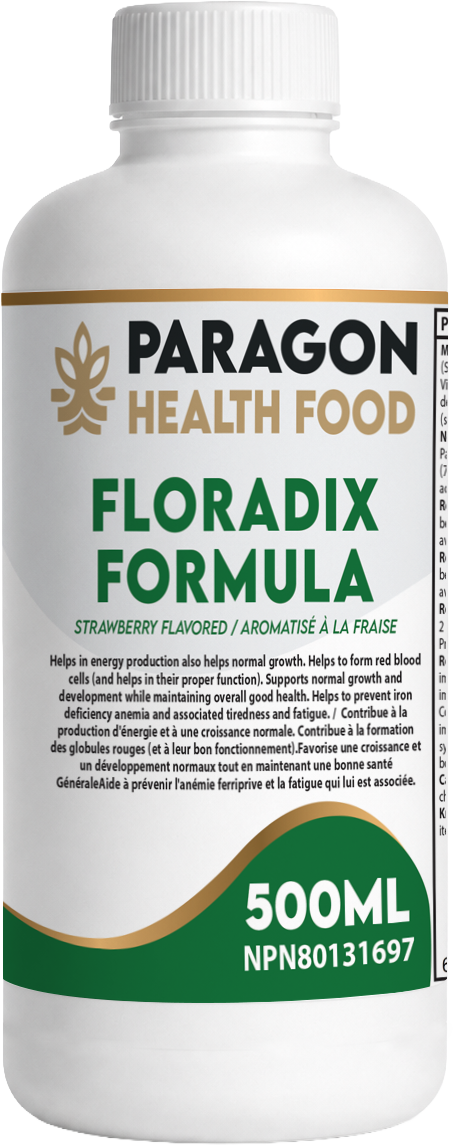 Paragon Health Foods Floradix Formula 500ml