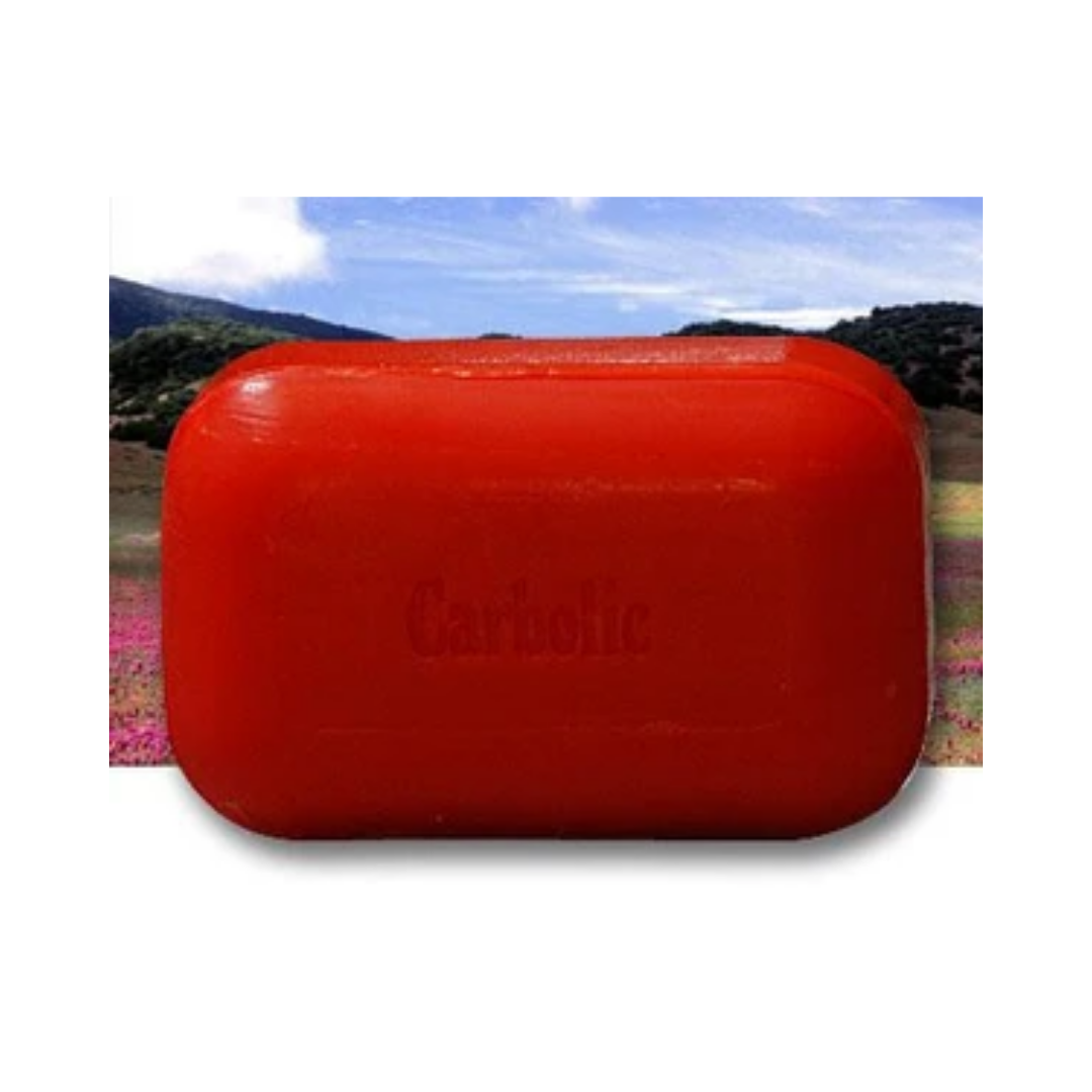 Soap Works Carbolic Soap Bar