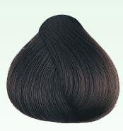 HERBATINT 4N Chestnut
