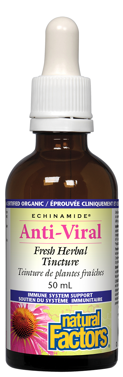 Natural Factors echinamide Anti-Viral Tincture 50ML