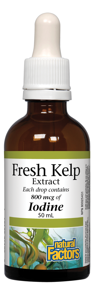Natural Factors Fresh Kelp 50ML 